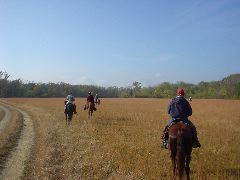 DSC00508.JPG