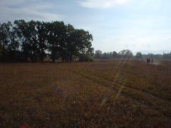 DSC00512.JPG