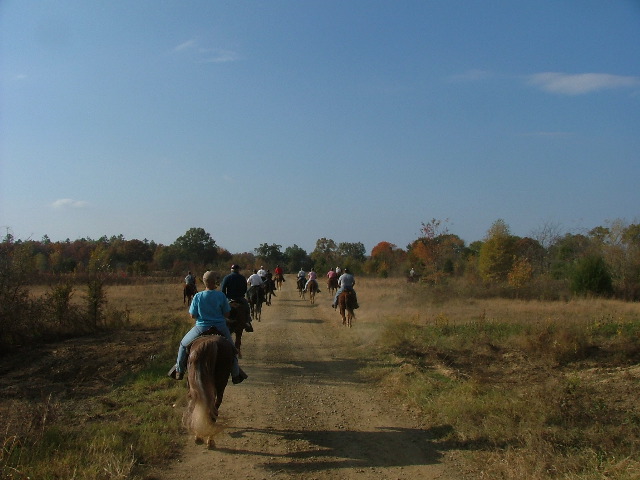DSCF0584.JPG