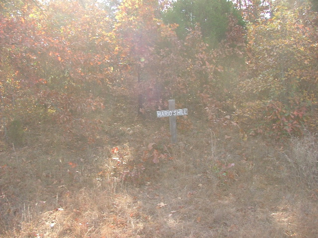 DSCF0589.JPG