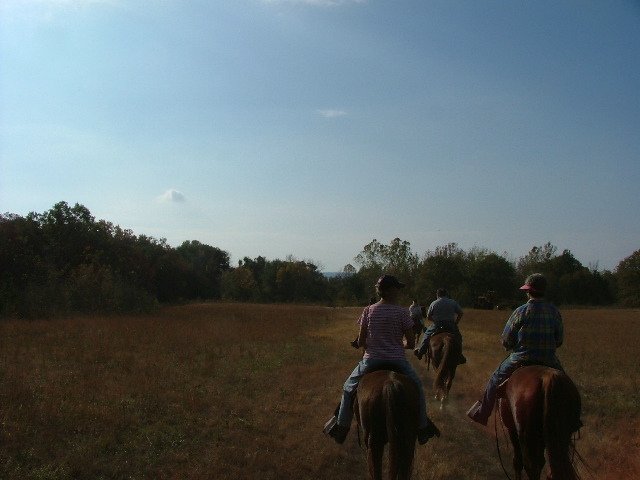 DSCF0591.JPG