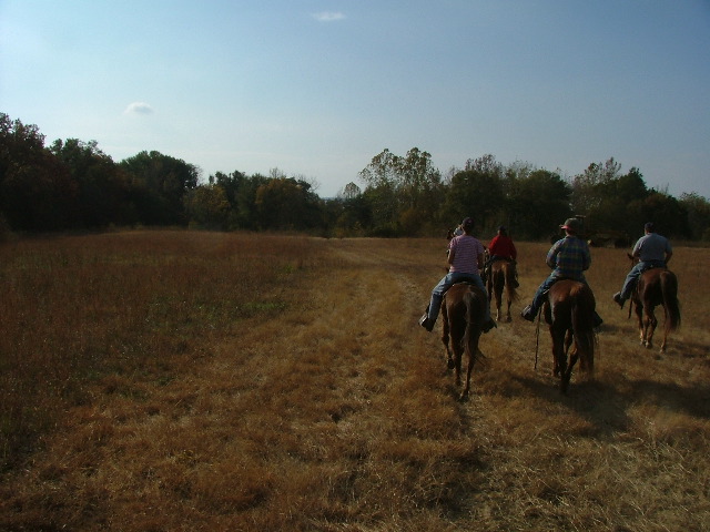 DSCF0593.JPG