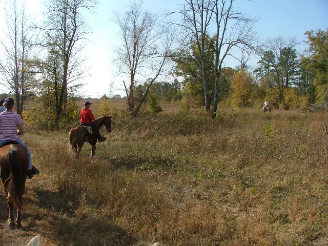 DSCF0600.JPG