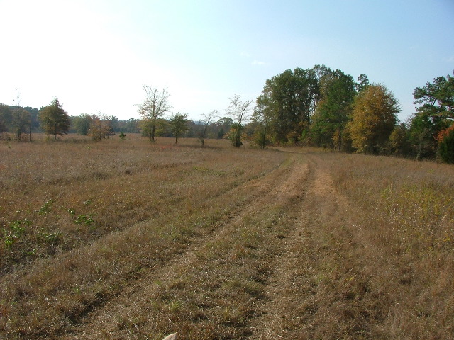 DSCF0605.JPG