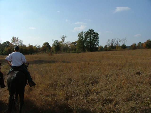 DSCF0610.JPG