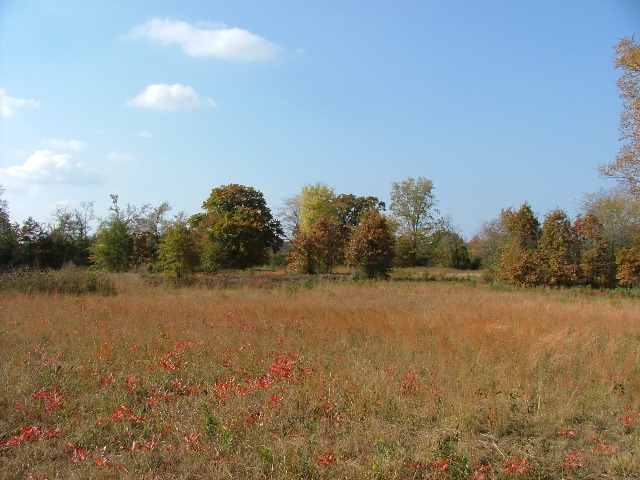 DSCF0612.JPG