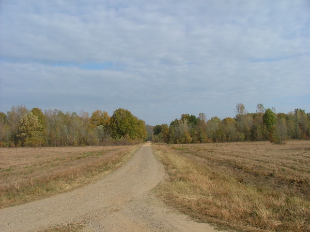 DSCF0578.JPG