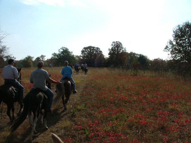 DSCF0614.JPG
