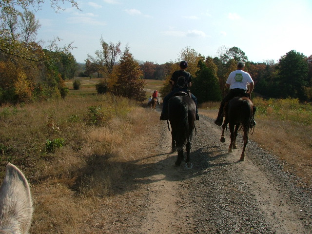DSCF0616.JPG