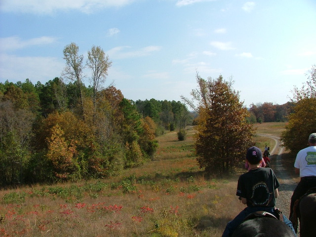 DSCF0618.JPG