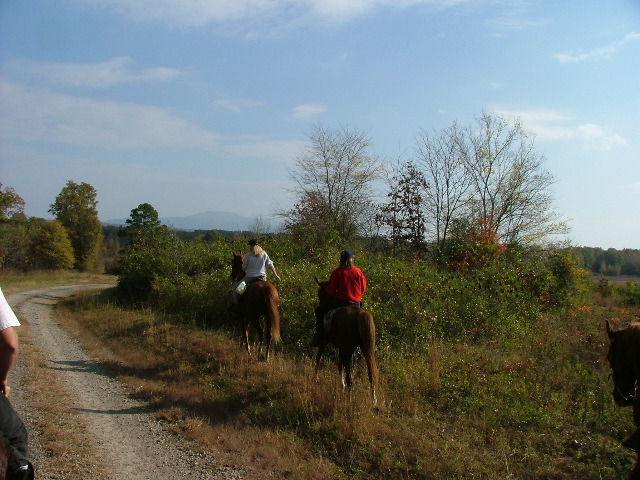 DSCF0620.JPG