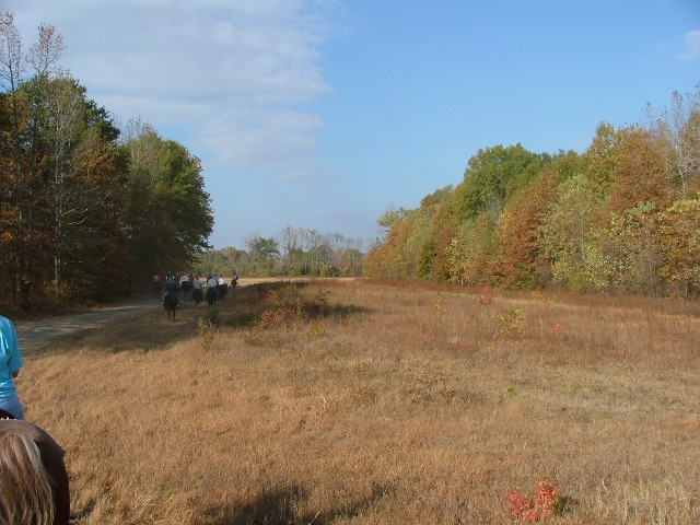 DSCF0579.JPG