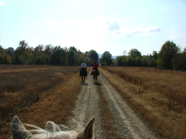 DSCF0625.JPG