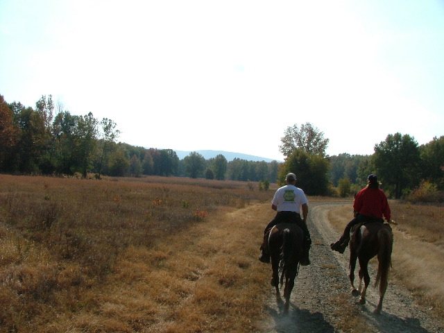 DSCF0626.JPG