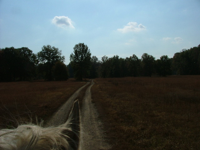 DSCF0627.JPG