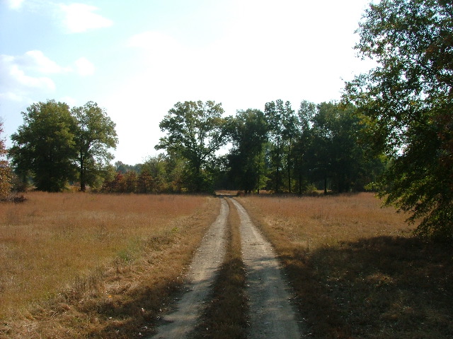 DSCF0628.JPG