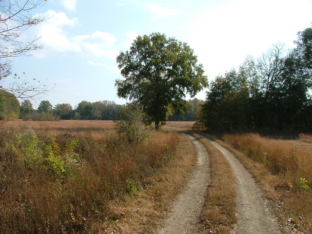 DSCF0629.JPG