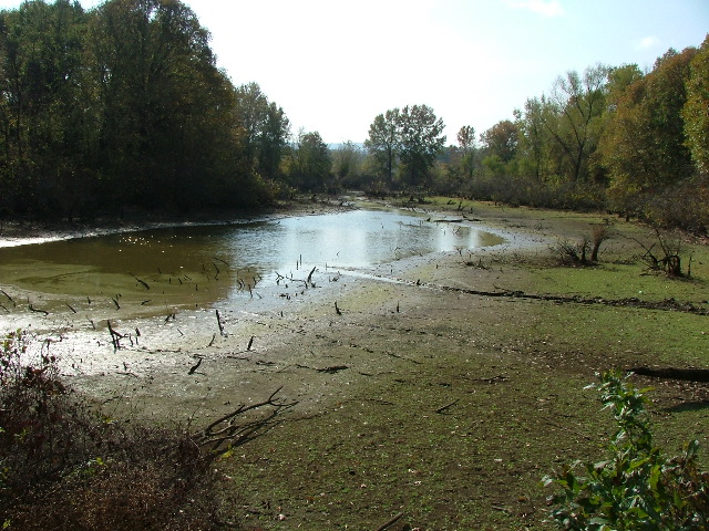 DSCF0639.JPG