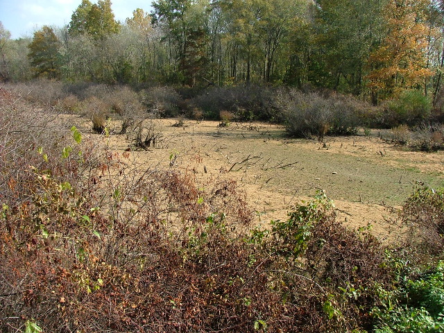 DSCF0640.JPG