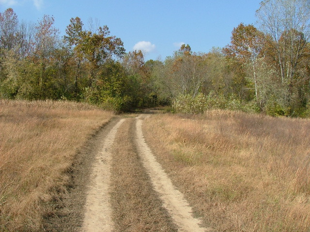 DSCF0646.JPG