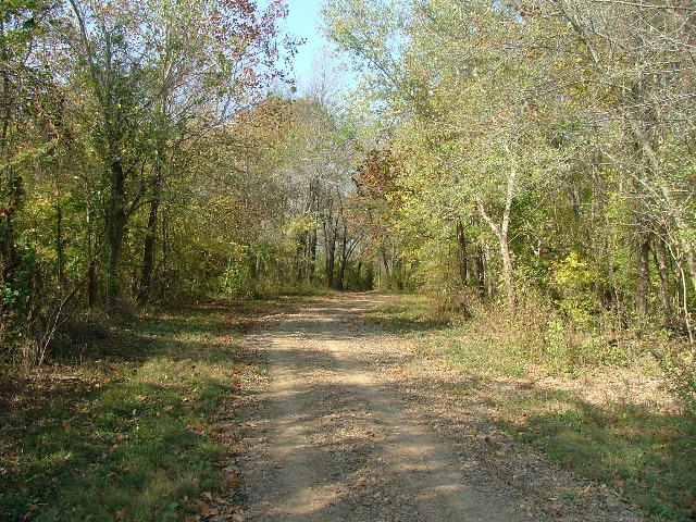 DSCF0647.JPG