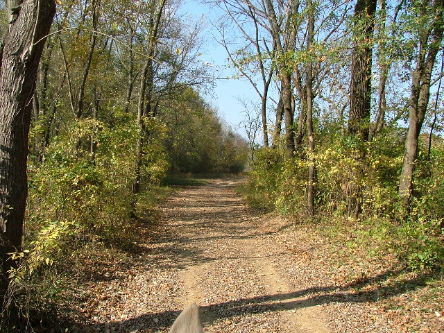 DSCF0649.JPG