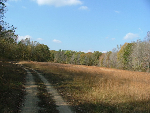 DSCF0651.JPG