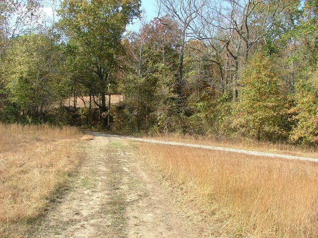 DSCF0654.JPG