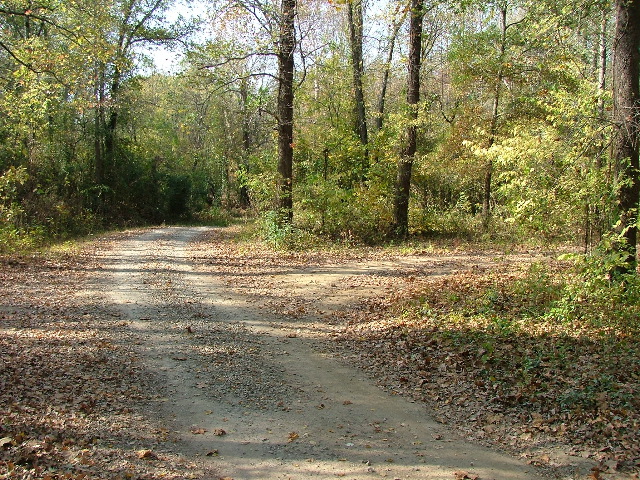 DSCF0657.JPG