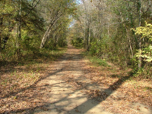 DSCF0659.JPG