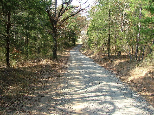 DSCF0661.JPG