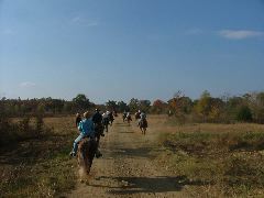 DSCF0584.JPG