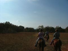 DSCF0591.JPG