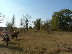 DSCF0599.JPG