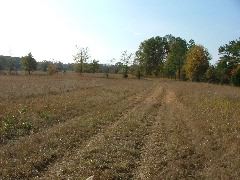 DSCF0605.JPG