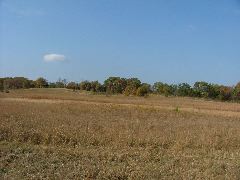 DSCF0607.JPG