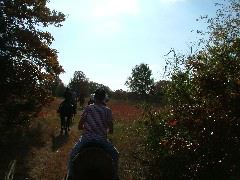 DSCF0611.JPG
