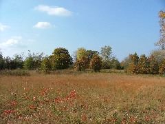 DSCF0612.JPG