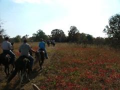 DSCF0614.JPG