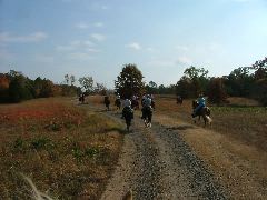 DSCF0615.JPG