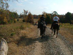DSCF0616.JPG