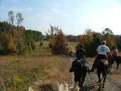 DSCF0617.JPG
