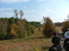 DSCF0618.JPG