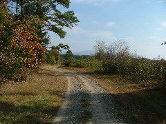 DSCF0619.JPG