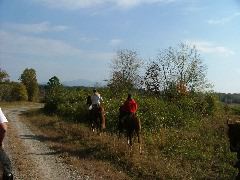 DSCF0620.JPG