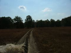 DSCF0627.JPG