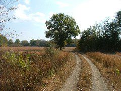 DSCF0629.JPG