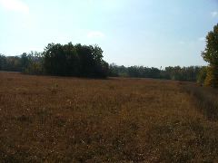 DSCF0630.JPG