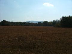 DSCF0631.JPG