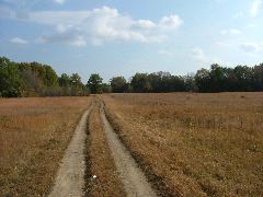 DSCF0632.JPG